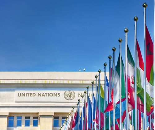 Untitled design (10)